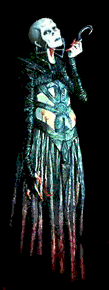 lady